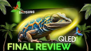 Samsung Q60D NO BS Final Review