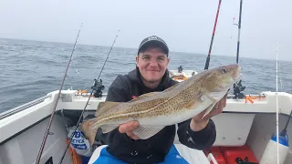 summer wreck fishing for cod and pollock so many fish /boat fishing in the UK
