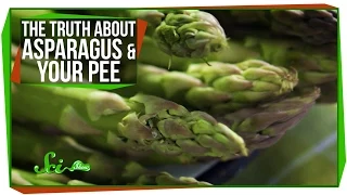 The Truth About Asparagus and Your Pee