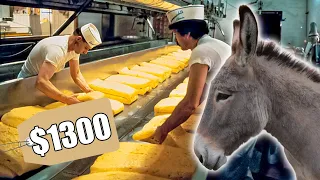 The World's Most Expensive & Rarest Cheese | Serbian Pule Donkey Cheese