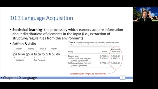 CogPsy W06b -- Ch 10 --  04 Language Acquisition (part2): Statistical Learning