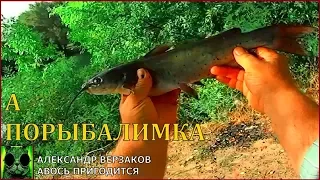 Сомик выручает.