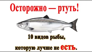 ➤ Осторожно — ртуть! ➤ 10 видов рыбы, которую лучше не есть