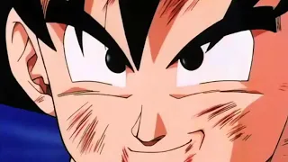 Goku derrota a Majin Buu con la ayuda de Mister Satan audio latino