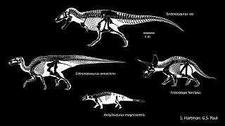 Tyrannosaurus Next: New discoveries and new controversies about the world's most famous dinosaur