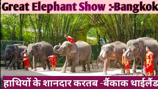 Elephant show in Safari World Bangkok