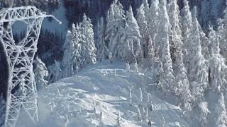 Avalanche in Washington Kills 3 Skiers