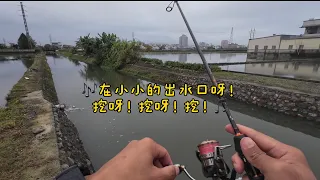 把淡水豬排挖起來… #lurefishing #luvias #nightheron