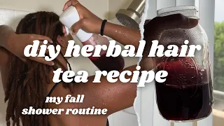 herbal hair tea recipe for growth + scalp health | my fall wash day routine