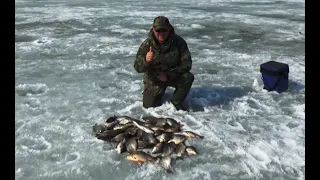 Коварный и щедрый последний лед! Караси, сазаны, судаки! Лучшая рыбалка сезона 2019-2020!