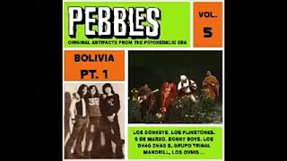 Various ‎– Pebbles Vol. 5 BOLIVIA Pt. 1, Original Artifacts From The Psychedelic Era 60s Garage Rock