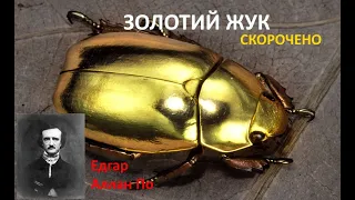 Золотий жук. Скорочено.