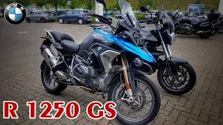 BMW R 1250 GS | Probefahrt | RAV 271