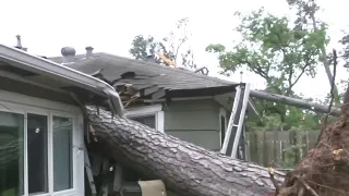 Massive trees causing intensive damage to homes, vehicles due to deadly thunderstorms