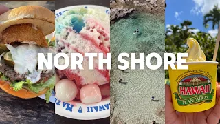 Oahu's North Shore Things to do when vacationing in Hawaii | 1 day Itinerary