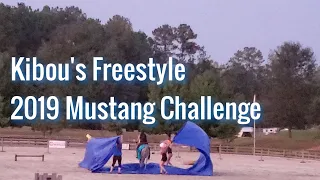 Kibou's freestyle at the 2019 Georgia Mustang Challenge