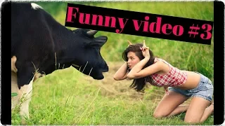 Подборка лучших приколов #3 | Лучшие видео приколы YouTube | Funny  Videos