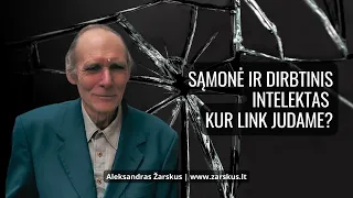 Sąmonė ir dirbtinis intelektas. Kur link judame? - Aleksandras Žarskus