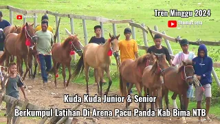 Tren Minggu || Kuda Kuda Junior & Senior Arena Pacu Panda Kab Bima NTB