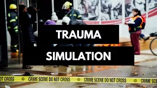 Trauma simulation