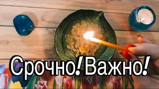 ❤️ 🔥 ВАЖНО! СРОЧНО! Крутой Поворот Событий!!!❤️ 🔥#гаданиенавоске #ритуалы