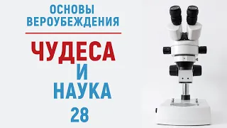 УРОКИ АКЫДЫ 28: Чудеса в Исламе. Чудеса противоречат науке? Часть I | Рамадан аль-Буты