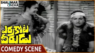 Errakota Veerudu Movie || NTR & Savitri Superb Comedy Scene || NTR, Savitri || Shalimarcinema