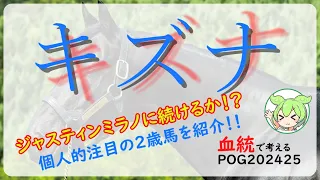 【POG2024-25】キズナ産駒の狙い方と注目馬！！キズナ産駒が大活躍中！！全盛期に突入か！？