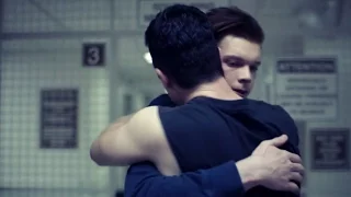 Gallavich