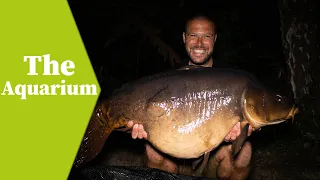 The Aquarium Carp Fishery | French Carp Fishing!