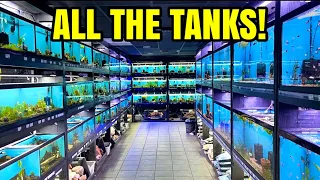 EXOTIC FISH STORE TOUR!!!!! *EPISODE 2