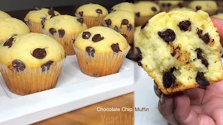 CHOCOLATE CHIP MUFFIN | Easy & Basic Yummy Muffin Recipe