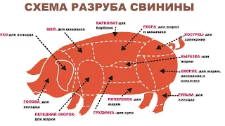 🔪🐷 Разруб свинины (Выгодный). meat cutting, meat, butcher, 肉,切肉,屠夫,猪肉,牛肉,羊肉,鸡,係食物呀！