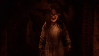 Halloween Horror Nights 2018 “The Horrors of Blumhouse Chapter Two” Maze - Universal Hollywood