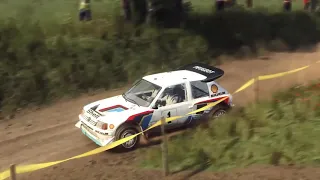 Peugeot 205 T16 Poland Cinematic | Dirt Rally 2.0