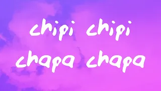 chipi chipi chapa chapa dubi dubi daba daba