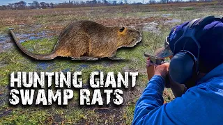 Giant SWAMP RATS Destroy 100,000 Acres of Wetlands Annually