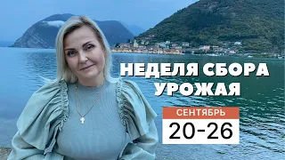 ГОРОСКОП НА НЕДЕЛЮ С 20 ПО 26 СЕНТЯБРЯ ОТ VENUSLIFE