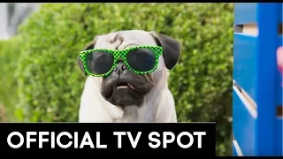 SHOW DOGS | OFFICIAL 20" TV SPOT