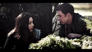fitz & daisy | afterlife