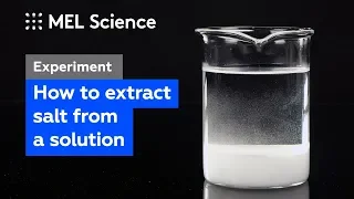 How to extract sodium chloride from its solution ("Salting out" experiment)