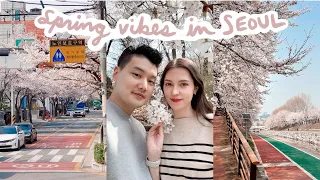 Cherry blossom season in Korea is just WOW 🌸 🇰🇷 Fav spots & Canada plans update 📹 Seoul spring vlog