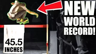 WORLDS HIGHEST OLLIE 2018