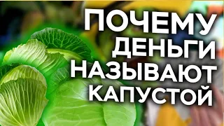 Почему ДЕНЬГИ называют КАПУСТОЙ 💵 Это ИНТЕРЕСНО!