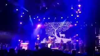 JJ Grey and Mofro - Orange Blossoms (Live @ Festival d`été de Québec - 12.July.2015)