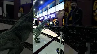 Velociraptor Tries To Watch Jurassic World: Dominion