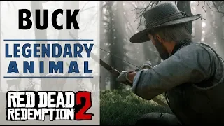 Legendary Buck | How to Track, Find & Kill Legendary Animal | Red Dead Redemption 2