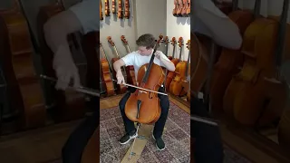 International cello soloist Jonathan Roozeman plays Toonika Tonica cello