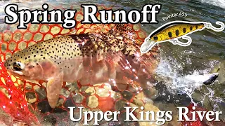 【BFS Trout Fishing】Pointer 45S action at Upper Kings River Spring Runoff