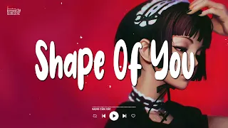 [1 Hour]  Ed Sheeran - Shape Of You (Lyrics/Vietsub)